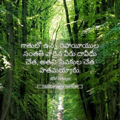 Picture 05 - 1 దినవృత్తాంతాలు 20:8 TELIRV - గాతులో ఉన్న - Bible Verse Picture