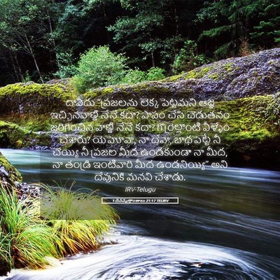 Picture 05 - 1 దినవృత్తాంతాలు 21:17 TELIRV - దావీదు “ప్రజలను - Bible Verse Picture