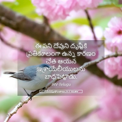 Picture 05 - 1 దినవృత్తాంతాలు 21:7 TELIRV - ఈ పని దేవుని - Bible Verse Picture