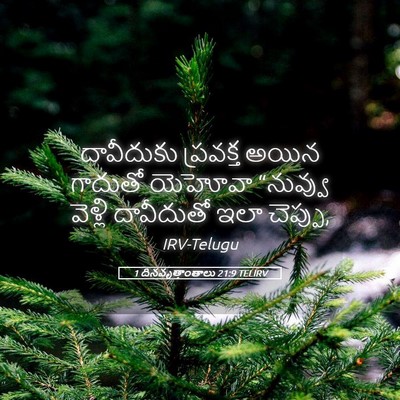 Picture 05 - 1 దినవృత్తాంతాలు 21:9 TELIRV - దావీదుకు ప్రవక్త - Bible Verse Picture
