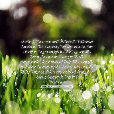 Picture 05 - 1 దినవృత్తాంతాలు 22:14 TELIRV - చూడు, నేను చాలా బాధ - Bible Verse Picture