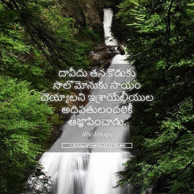 Picture 05 - 1 దినవృత్తాంతాలు 22:17 TELIRV - దావీదు తన కొడుకు - Bible Verse Picture