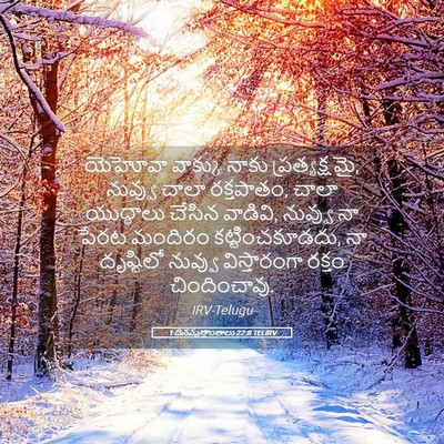 Picture 05 - 1 దినవృత్తాంతాలు 22:8 TELIRV - యెహోవా వాక్కు - Bible Verse Picture