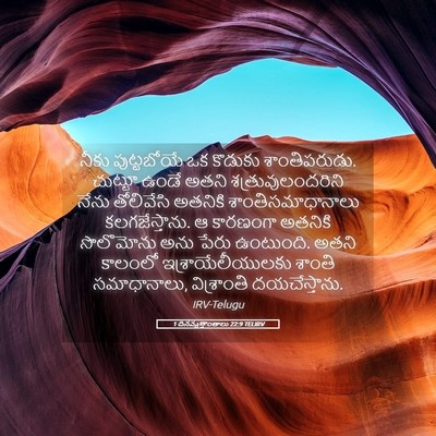 Picture 05 - 1 దినవృత్తాంతాలు 22:9 TELIRV - నీకు పుట్టబోయే ఒక - Bible Verse Picture