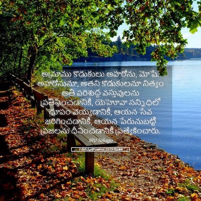 Picture 05 - 1 దినవృత్తాంతాలు 23:13 TELIRV - అమ్రాము కొడుకులు - Bible Verse Picture