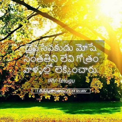 Picture 05 - 1 దినవృత్తాంతాలు 23:14 TELIRV - దైవసేవకుడు మోషే - Bible Verse Picture