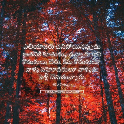 Picture 05 - 1 దినవృత్తాంతాలు 23:22 TELIRV - ఎలియాజరు - Bible Verse Picture