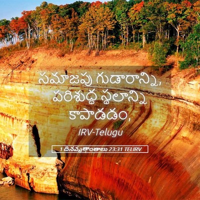 Picture 05 - 1 దినవృత్తాంతాలు 23:31 TELIRV - సమాజపు - Bible Verse Picture