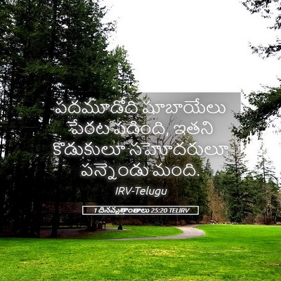 Picture 05 - 1 దినవృత్తాంతాలు 25:20 TELIRV - పదమూడోది షూబాయేలు - Bible Verse Picture