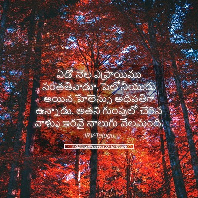 Picture 05 - 1 దినవృత్తాంతాలు 27:10 TELIRV - ఏడో నెల ఎఫ్రాయిము - Bible Verse Picture
