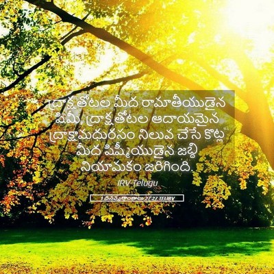 Picture 05 - 1 దినవృత్తాంతాలు 27:27 TELIRV - ద్రాక్షతోటల మీద - Bible Verse Picture