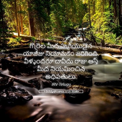 Picture 05 - 1 దినవృత్తాంతాలు 27:31 TELIRV - గొర్రెల మీద - Bible Verse Picture