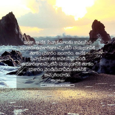 Picture 05 - 1 దినవృత్తాంతాలు 28:14 TELIRV - ఇంకా, అనేక - Bible Verse Picture