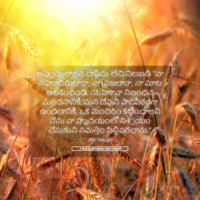 Picture 05 - 1 దినవృత్తాంతాలు 28:2 TELIRV - అప్పుడు రాజైన - Bible Verse Picture