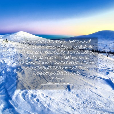 Picture 05 - 1 దినవృత్తాంతాలు 28:20 TELIRV - ఇంకా దావీదు తన - Bible Verse Picture