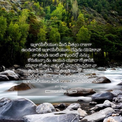 Picture 05 - 1 దినవృత్తాంతాలు 28:4 TELIRV - ఇశ్రాయేలీయుల మీద - Bible Verse Picture