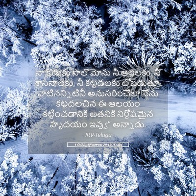 Picture 05 - 1 దినవృత్తాంతాలు 29:19 TELIRV - నా కొడుకు - Bible Verse Picture