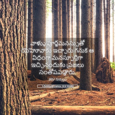 Picture 05 - 1 దినవృత్తాంతాలు 29:9 TELIRV - వాళ్ళు - Bible Verse Picture