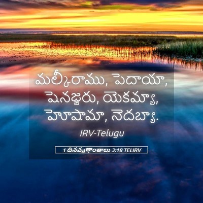 Picture 05 - 1 దినవృత్తాంతాలు 3:18 TELIRV - మల్కీరాము, పెదాయా, - Bible Verse Picture