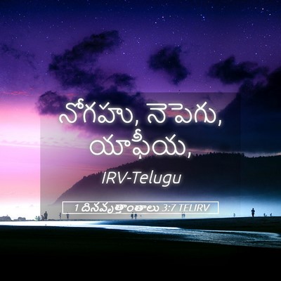 Picture 05 - 1 దినవృత్తాంతాలు 3:7 TELIRV - నోగహు, నెపెగు, - Bible Verse Picture