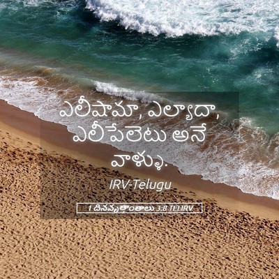 Picture 05 - 1 దినవృత్తాంతాలు 3:8 TELIRV - ఎలీషామా, ఎల్యాదా, - Bible Verse Picture
