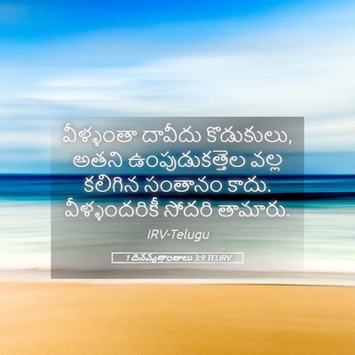 Picture 05 - 1 దినవృత్తాంతాలు 3:9 TELIRV - వీళ్ళంతా దావీదు - Bible Verse Picture
