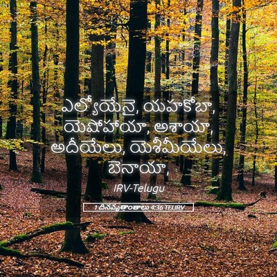 Picture 05 - 1 దినవృత్తాంతాలు 4:36 TELIRV - ఎల్యోయేనై, యహకోబా, - Bible Verse Picture