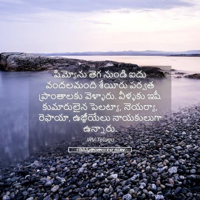 Picture 05 - 1 దినవృత్తాంతాలు 4:42 TELIRV - షిమ్యోను తెగ - Bible Verse Picture