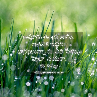 Picture 05 - 1 దినవృత్తాంతాలు 4:5 TELIRV - అష్షూరు తండ్రి - Bible Verse Picture