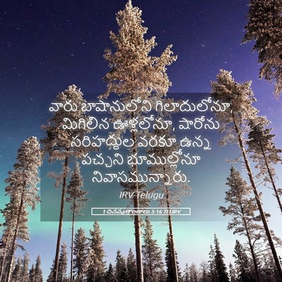 Picture 05 - 1 దినవృత్తాంతాలు 5:16 TELIRV - వారు బాషానులోని - Bible Verse Picture