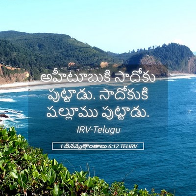 Picture 05 - 1 దినవృత్తాంతాలు 6:12 TELIRV - అహీటూబుకి సాదోకు - Bible Verse Picture
