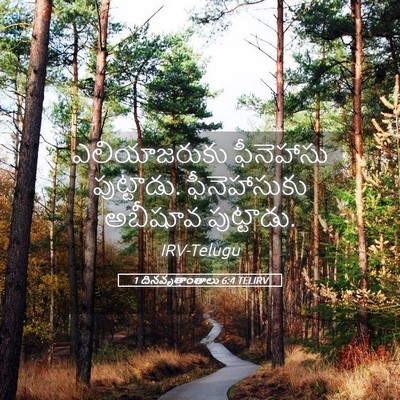 Picture 05 - 1 దినవృత్తాంతాలు 6:4 TELIRV - ఎలియాజరుకు - Bible Verse Picture