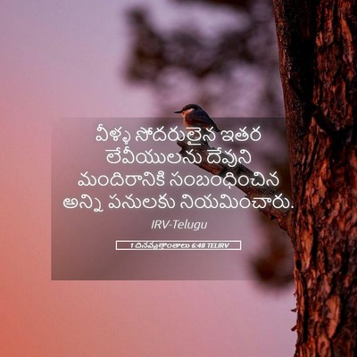 Picture 05 - 1 దినవృత్తాంతాలు 6:48 TELIRV - వీళ్ళ సోదరులైన - Bible Verse Picture