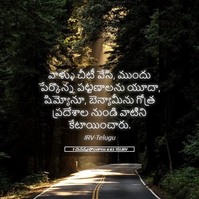 Picture 05 - 1 దినవృత్తాంతాలు 6:65 TELIRV - వాళ్ళు చీటీ వేసి, - Bible Verse Picture