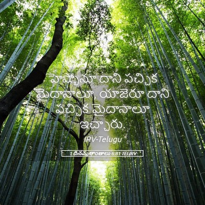 Picture 05 - 1 దినవృత్తాంతాలు 6:81 TELIRV - హెష్బోనూ దాని - Bible Verse Picture