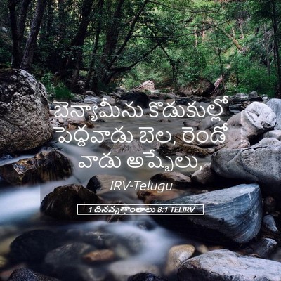 Picture 05 - 1 దినవృత్తాంతాలు 8:1 TELIRV - బెన్యామీను - Bible Verse Picture