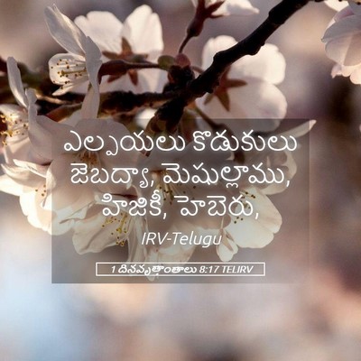 Picture 05 - 1 దినవృత్తాంతాలు 8:17 TELIRV - ఎల్పయలు కొడుకులు - Bible Verse Picture