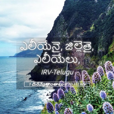 Picture 05 - 1 దినవృత్తాంతాలు 8:20 TELIRV - ఎలీయేనై, జిల్లెతై, - Bible Verse Picture