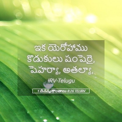 Picture 05 - 1 దినవృత్తాంతాలు 8:26 TELIRV - ఇక యెరోహాము - Bible Verse Picture