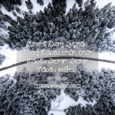Picture 05 - 1 దినవృత్తాంతాలు 8:37 TELIRV - మోజాకి బిన్యా - Bible Verse Picture