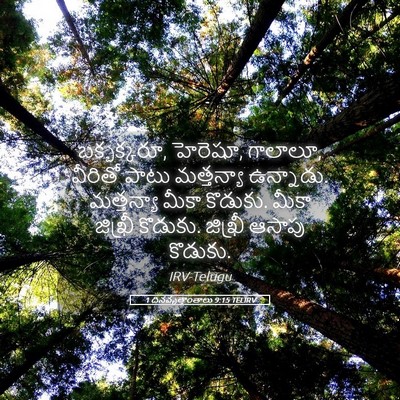 Picture 05 - 1 దినవృత్తాంతాలు 9:15 TELIRV - బక్బక్కరూ, హెరెషూ, - Bible Verse Picture