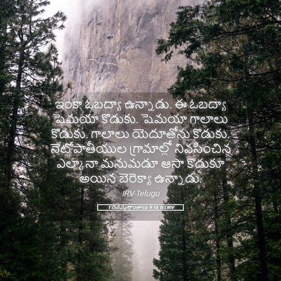 Picture 05 - 1 దినవృత్తాంతాలు 9:16 TELIRV - ఇంకా ఓబద్యా - Bible Verse Picture