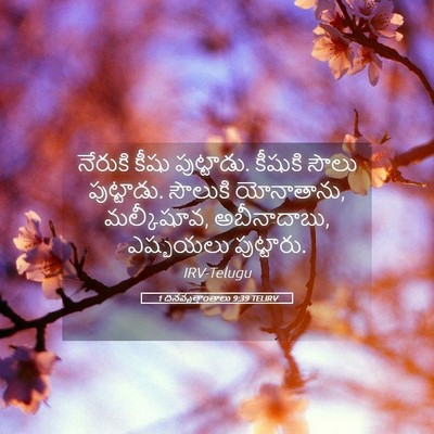 Picture 05 - 1 దినవృత్తాంతాలు 9:39 TELIRV - నేరుకి కీషు - Bible Verse Picture
