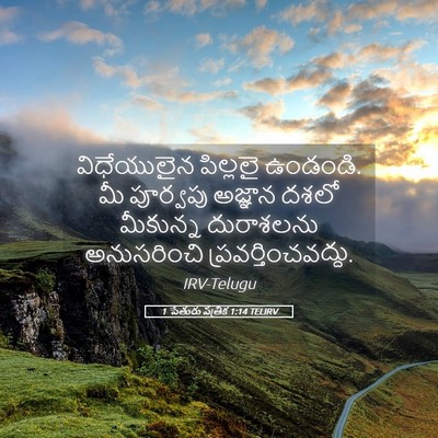 Picture 05 - 1 పేతురు పత్రిక 1:14 TELIRV - విధేయులైన పిల్లలై - Bible Verse Picture