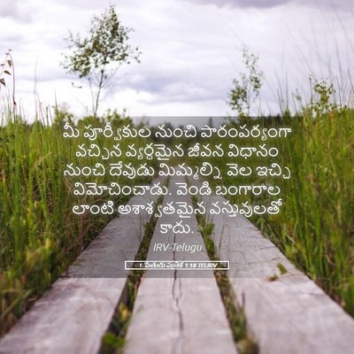 Picture 05 - 1 పేతురు పత్రిక 1:18 TELIRV - మీ పూర్వీకుల - Bible Verse Picture