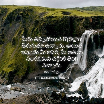 Picture 05 - 1 పేతురు పత్రిక 2:25 TELIRV - మీరు తప్పిపోయిన - Bible Verse Picture