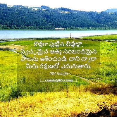 Picture 05 - 1 పేతురు పత్రిక 2:3 TELIRV - కొత్తగా పుట్టిన - Bible Verse Picture