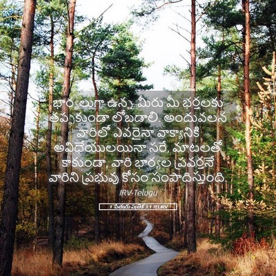 Picture 05 - 1 పేతురు పత్రిక 3:1 TELIRV - భార్యలుగా ఉన్న - Bible Verse Picture
