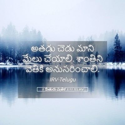 Picture 05 - 1 పేతురు పత్రిక 3:11 TELIRV - అతడు చెడు మాని - Bible Verse Picture