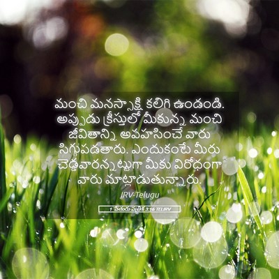 Picture 05 - 1 పేతురు పత్రిక 3:16 TELIRV - మంచి మనస్సాక్షి - Bible Verse Picture